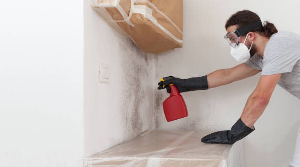 Professional Attic Mold Remediation technician working in Plano, IL