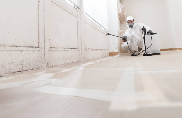24/7 Emergency Attic Mold Remediation experts in Plano, IL